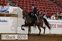 11buck_6010 proof
