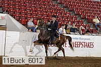 11buck_6012 proof