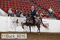 11buck_6015 proof