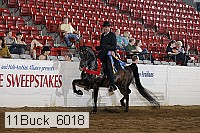 11buck_6018 proof