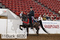 11buck_6020 proof