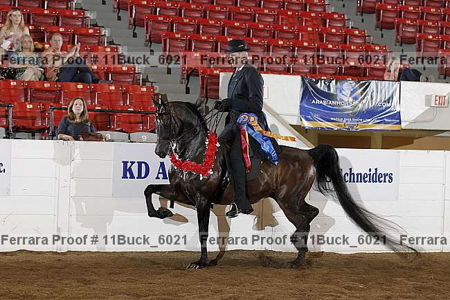 Proof 11buck_6021