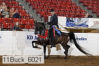 11buck_6021 proof