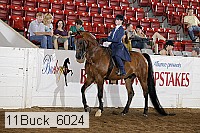 11buck_6024 proof