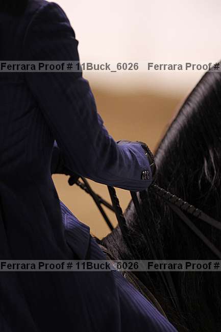 Proof 11buck_6026
