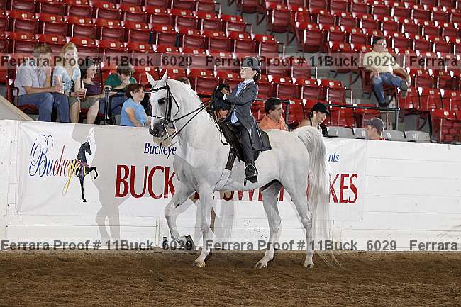 Proof 11buck_6029