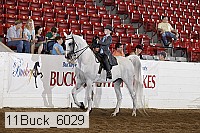 11buck_6029 proof