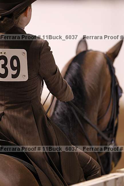 Proof 11buck_6037