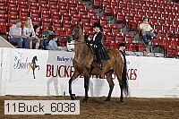 11buck_6038 proof