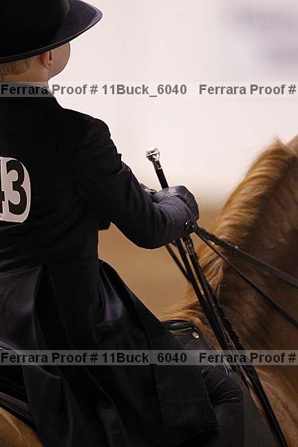 Proof 11buck_6040