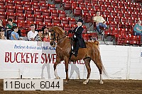 11buck_6044 proof