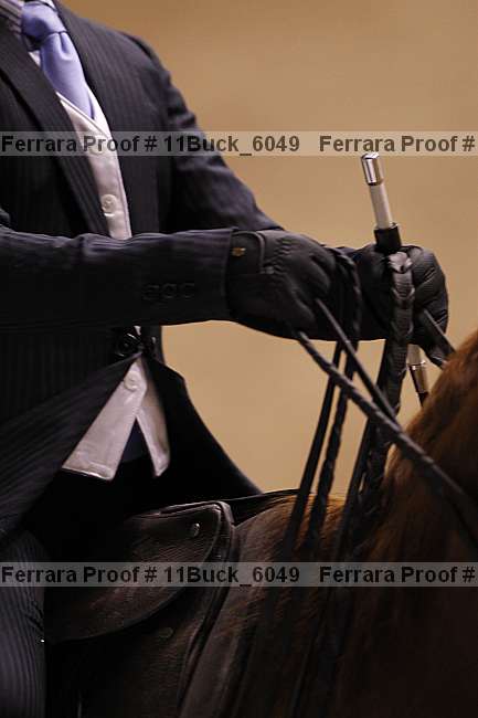 Proof 11buck_6049