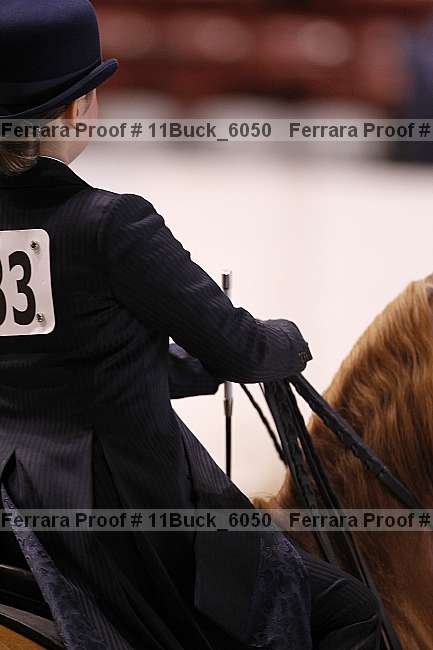 Proof 11buck_6050