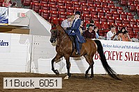 11buck_6051 proof