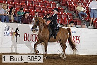 11buck_6052 proof