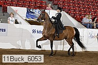 11buck_6053 proof