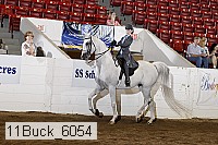 11buck_6054 proof