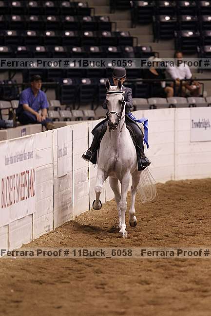 Proof 11buck_6058