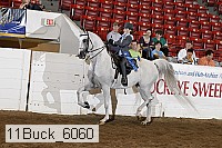 11buck_6060 proof