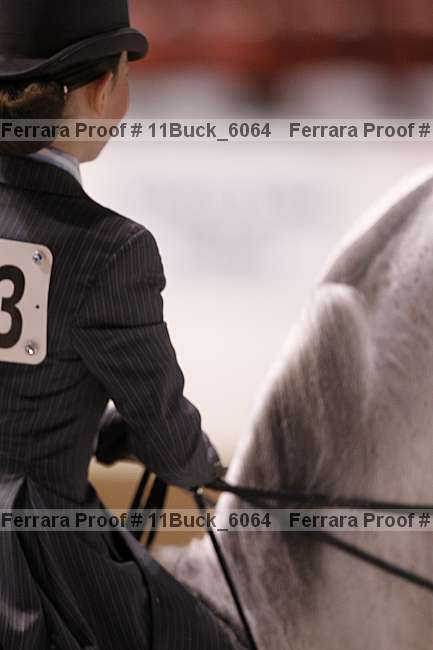 Proof 11buck_6064
