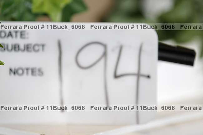 Proof 11buck_6066