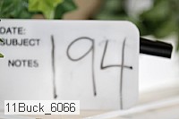11buck_6066 proof