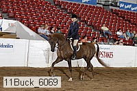 11buck_6069 proof