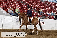 11buck_6073 proof