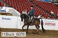 11buck_6078 proof