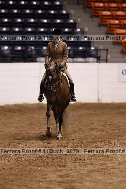 Proof 11buck_6079