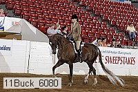11buck_6080 proof