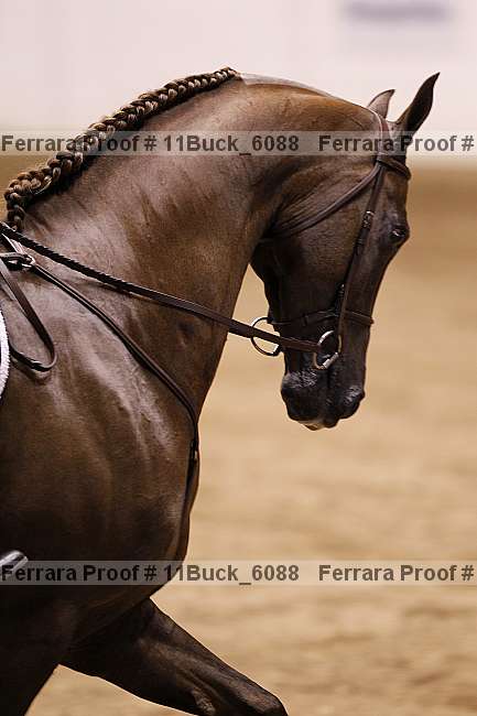 Proof 11buck_6088