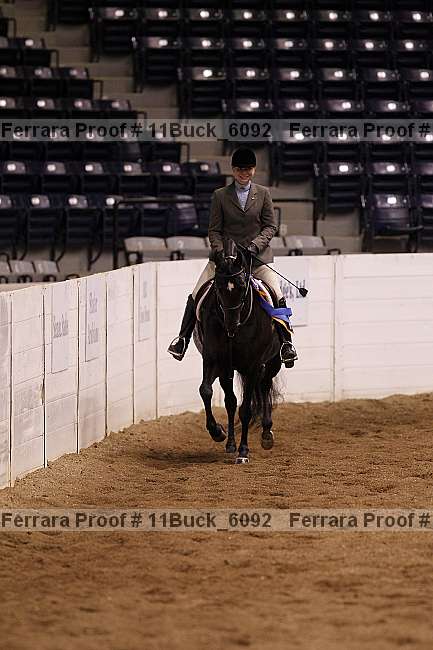 Proof 11buck_6092