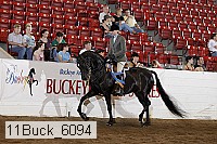 11buck_6094 proof