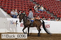 11buck_6096 proof