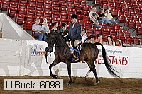 11buck_6098 proof