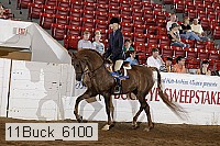 11buck_6100 proof