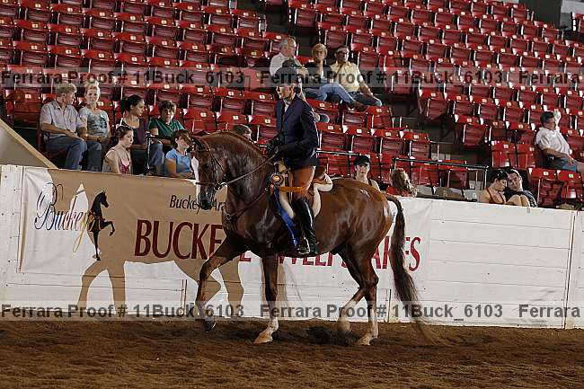 Proof 11buck_6103
