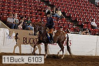 11buck_6103 proof