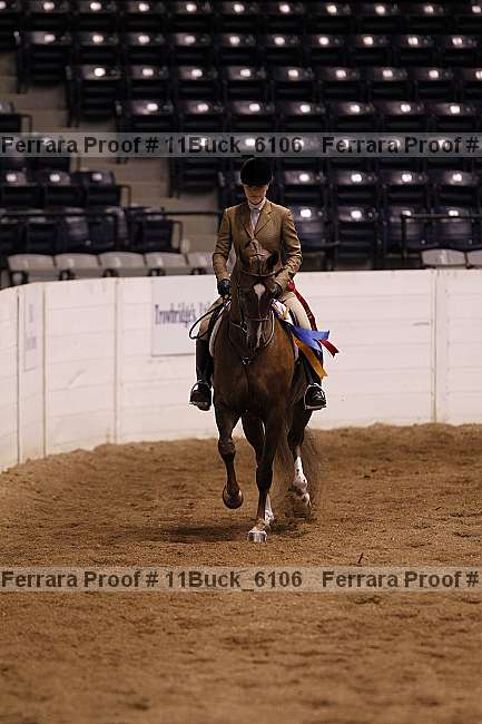 Proof 11buck_6106