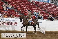 11buck_6107 proof