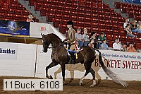 11buck_6108 proof