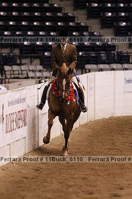 Proof 11buck_6110