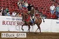 11buck_6111 proof