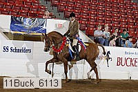 11buck_6113 proof