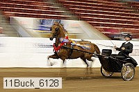 11buck_6128 proof