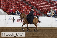 11buck_6131 proof