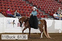 11buck_6136 proof