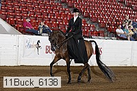 11buck_6138 proof