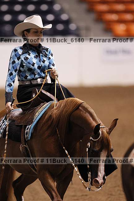 Proof 11buck_6140